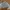 Crop Jacket Gray photo 1