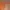 Crop Cardigan Orange