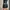 subdued wings pants - po china  photo 2