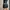 Subdued Wings Pants - Po China 