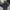 subdued wings hoodie - po china  photo 1