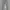Celana Sport Training Adidas ZNE Light Grey photo 2