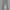 Celana Sport Training Adidas ZNE Light Grey