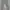 Celana Sport Training Adidas ZNE Light Grey photo 1