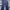 Dickies 874 navy photo 3