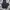Dickies Casual Casual pants Pria black photo 1