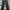 Dickies genuine black photo 3