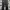 Dickies cargo black photo 2