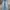 Vintage Osh Kosh Jeans Scovill Button