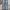 Yeseyesee Denim Pants