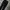 Balenciaga Pants Original  photo 2