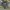 ( LIMITED ) VINTAGE 90'S CYBER DOG LONDON ALIEN photo 1