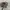 HEY JACK! Realtree Hats by Paramount x DuckDynasty photo 1
