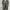 Vintage Converse CT High Bosey Brown Black Original photo 6