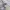 Billabong Casual Sportswear Hoody Pria white photo 6
