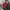 CREWNECK JANSPORT VINTAGE NASIONAL CHAMPIONS NEBRASKA ©️1994 photo 1