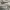 Kangol Casual Polo shirt Pria white photo 4