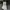 Fred Perry photo 5