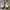 Discovery shoes photo 2