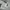 Prada Luxury Windbreaker Pria white photo 6