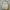 Prada Luxury Windbreaker Pria white photo 1
