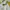 Prada Luxury Windbreaker Pria white photo 3