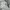 Prada Luxury Windbreaker Pria white photo 4