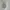 Dior Luxury Polo shirt Pria white photo 7