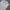 Dior Luxury Polo shirt Pria white photo 1