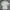 Dior Luxury Polo shirt Pria white photo 4