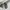 Dior Luxury Polo shirt Pria white photo 5