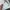 ADIDAS BUNGA CLIMACOOL WINBREAKER photo 10