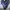 NIKE SPORT WEAR WINBREAKER  photo 1