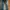 Wrangler Avant Garde Casual Jeans Pria Navy