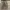 [Termurah] Uniqlo U Curved Wide Fit High Waist Khaki Color photo 1