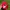 Vintage Hat Pria red photo 2