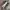 Vansss OldSkool Black White photo 4