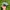 Vintage Hat Pria green black photo 4