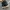 Converseee CT70s High Navy photo 5