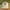 Vintage Hat Pria cream photo 2