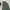 Anachronorm chino green photo 6