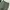 Anachronorm Chino Green