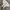 Converseee CT70s High Full White photo 4