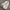 Converseee CT70s High Full White photo 3