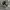 Converseee CT70s High Black White photo 2
