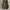 Converseee CT70s High Light Grey photo 6