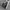 Converseee CT70s High Light Grey photo 3