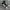 Converseee CT70s High Black White photo 2