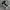 Converseee CT70s High Black White