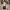 Vintage Salvatore Feragamo leather shoulder bag original  photo 2